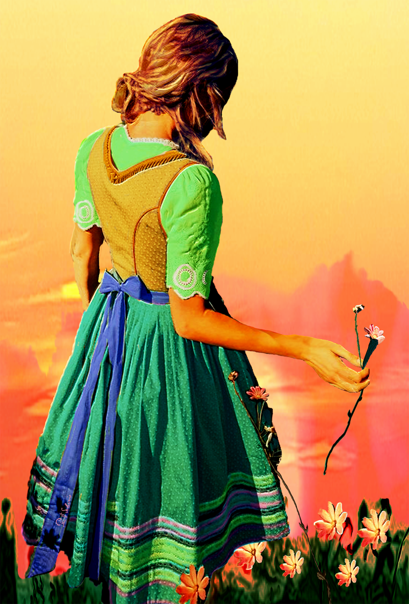 Street Urban Art  collection number 235