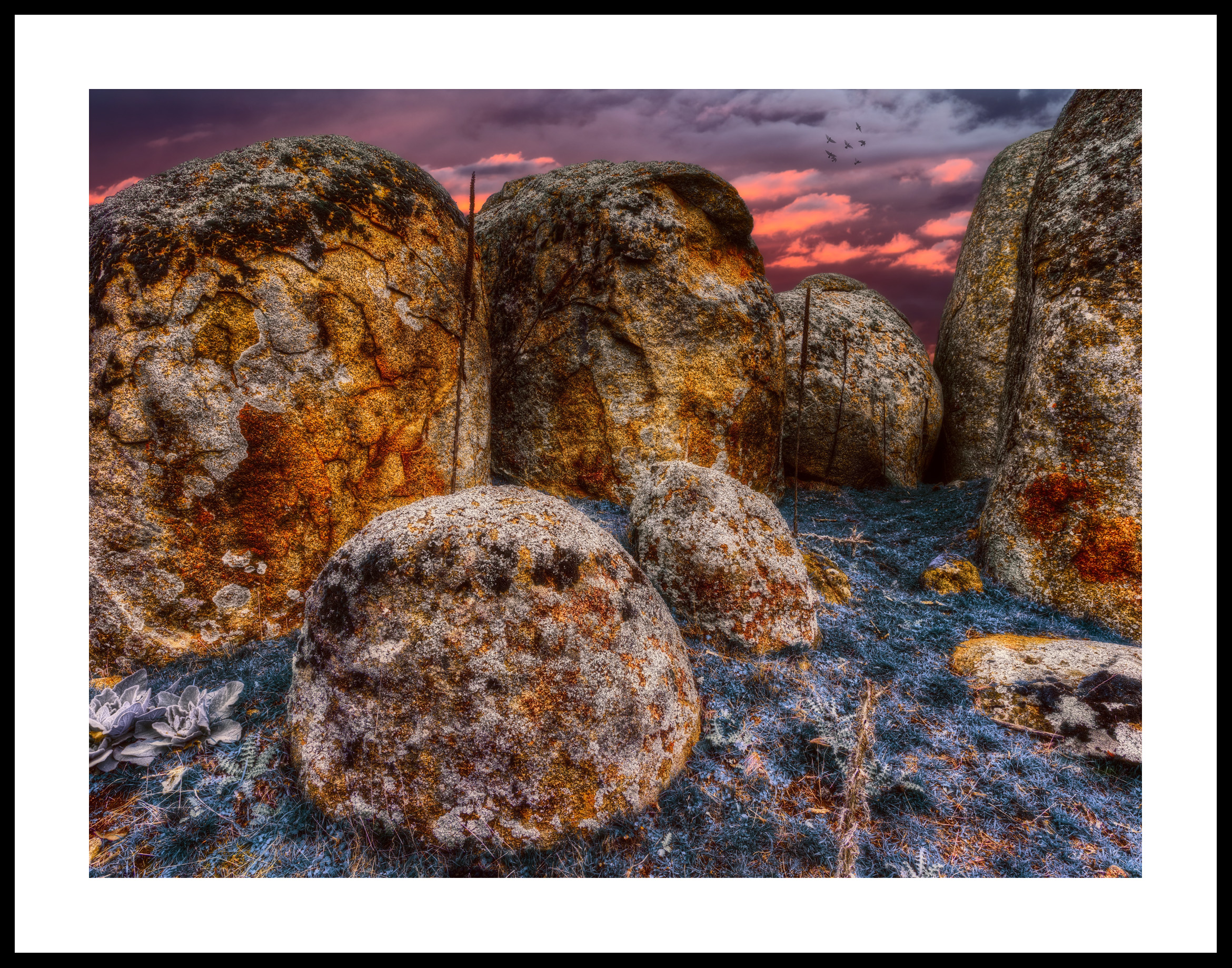 Bluegrass Country Framed