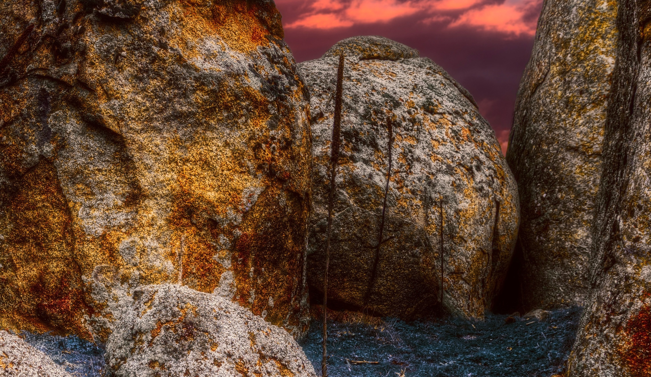 Bluegrass Country Detail