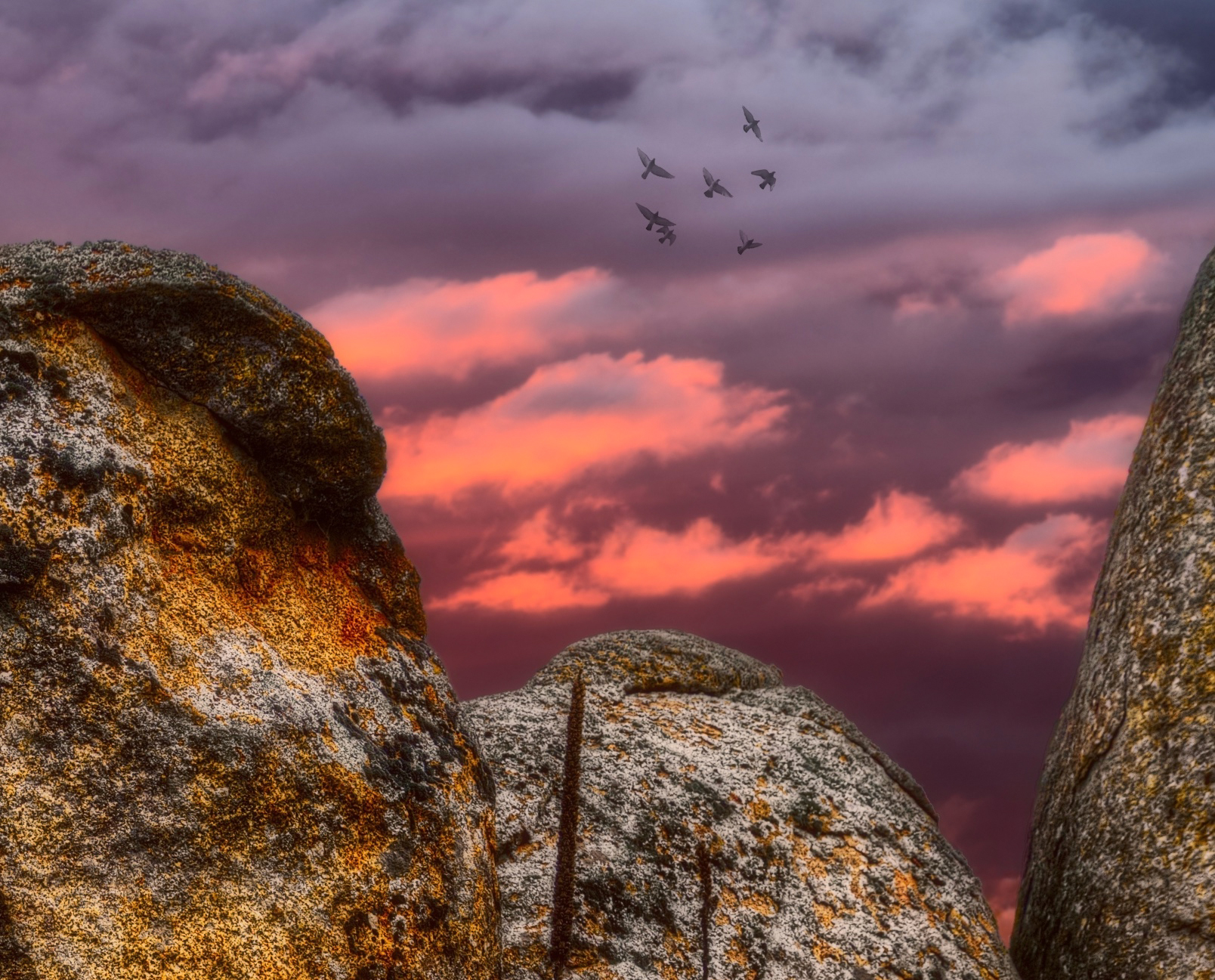 Bluegrass Country Detail 2