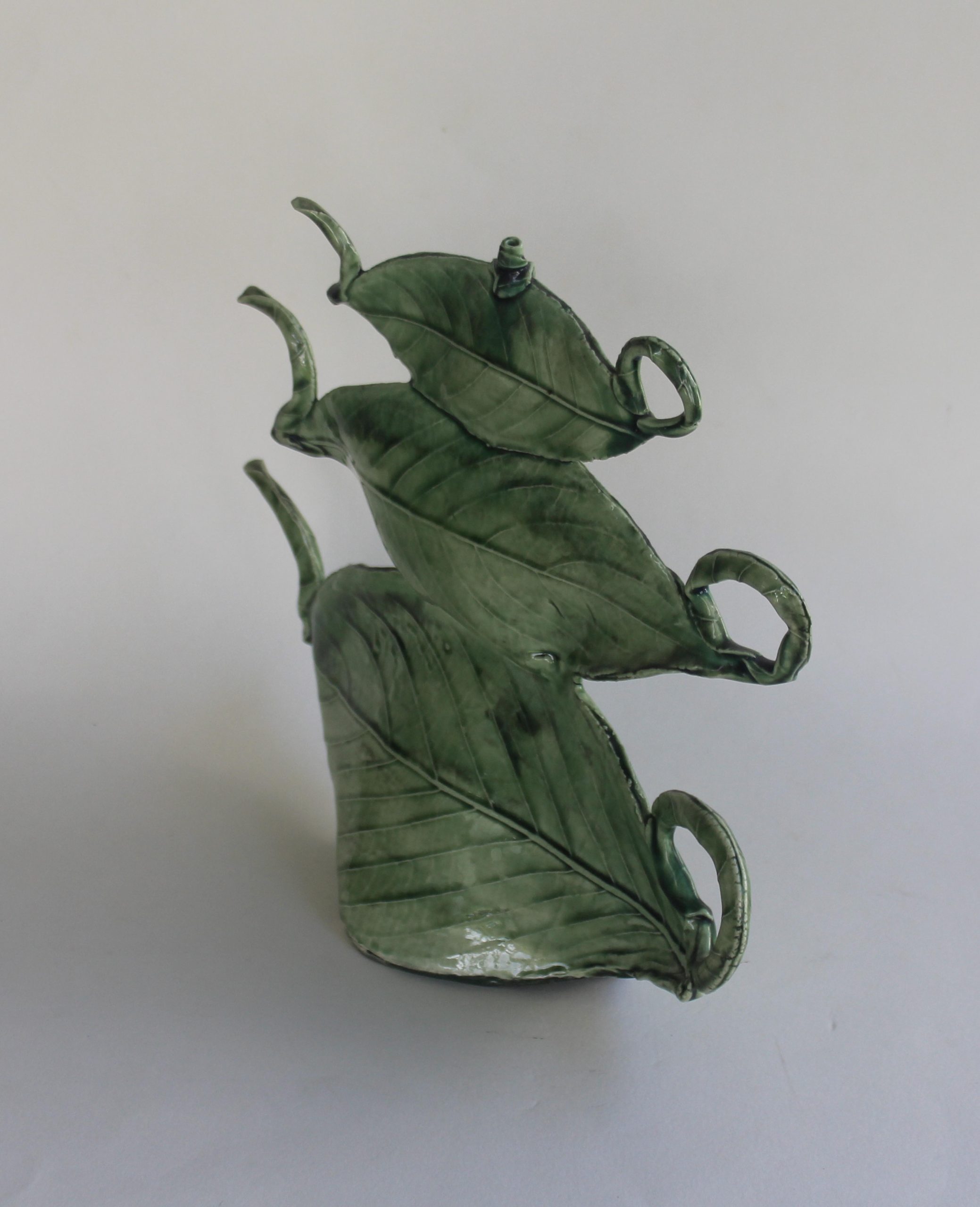 Three Tea Leaves 5 Carol Forster Art Lovers Australia