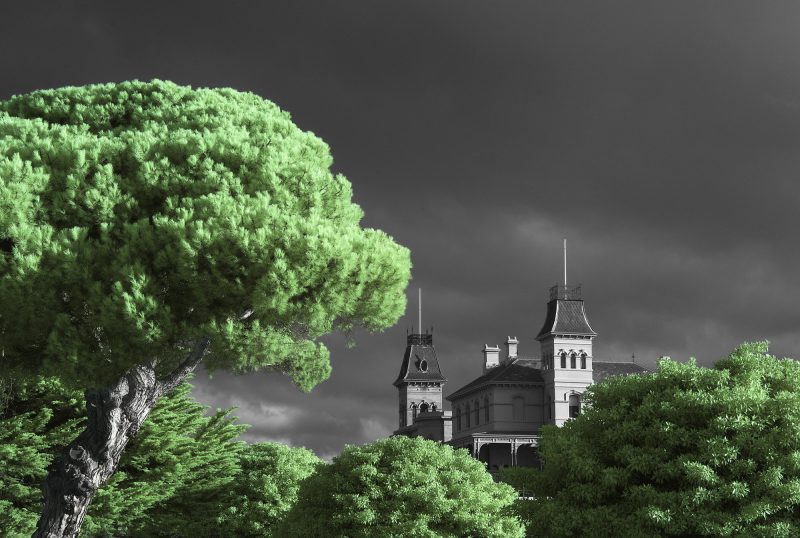 Verdant – Ltd Ed Photography