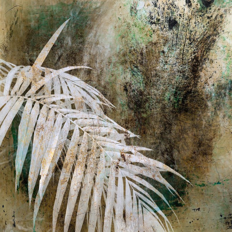 We May Never Pass This Way Again – Ltd Ed Photography