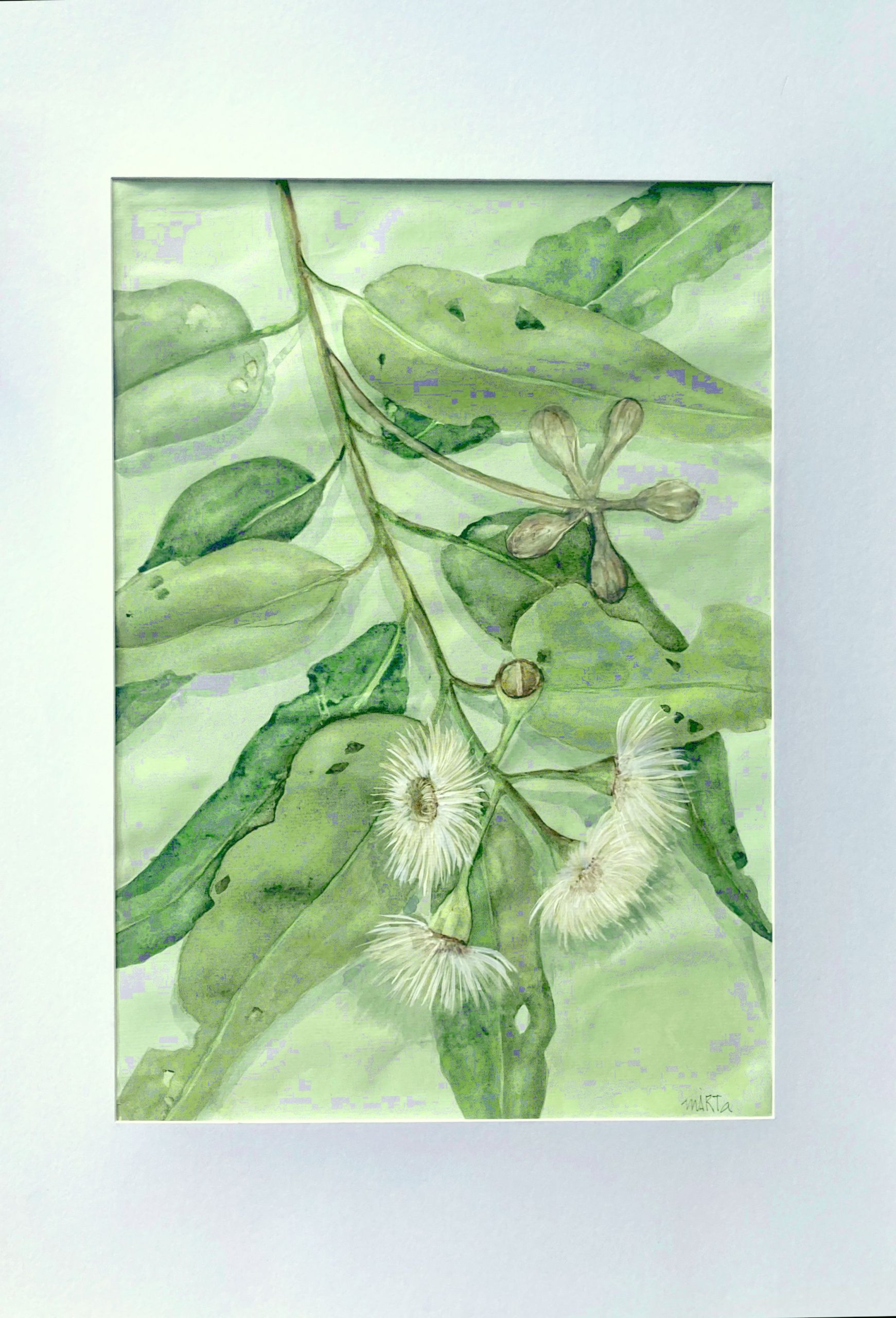 Mbj 358 Gum Leaves Mat