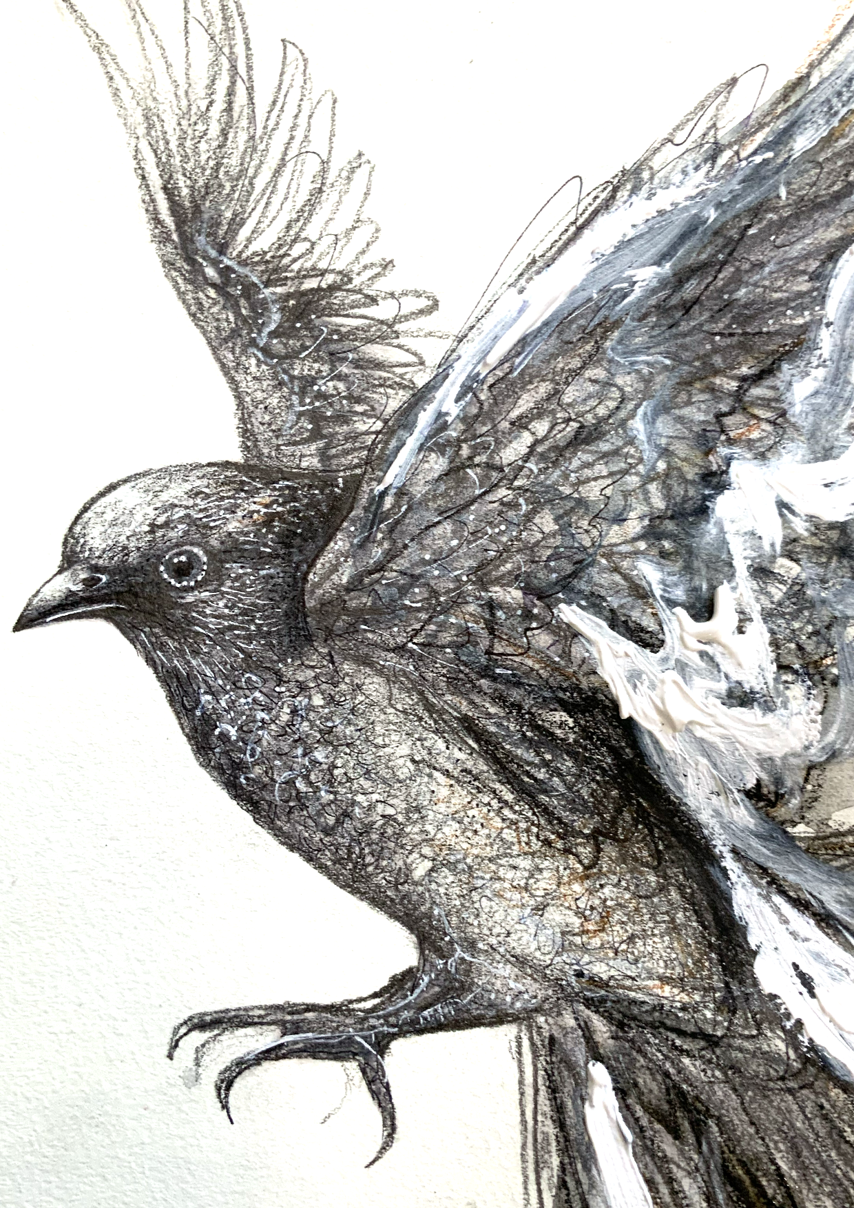 Leni Kae Flight Of The Sparrow Drawing A4 Closeup