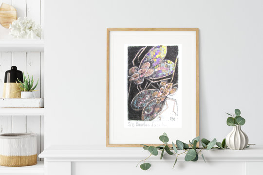 Azalea Lace Bug Insitu