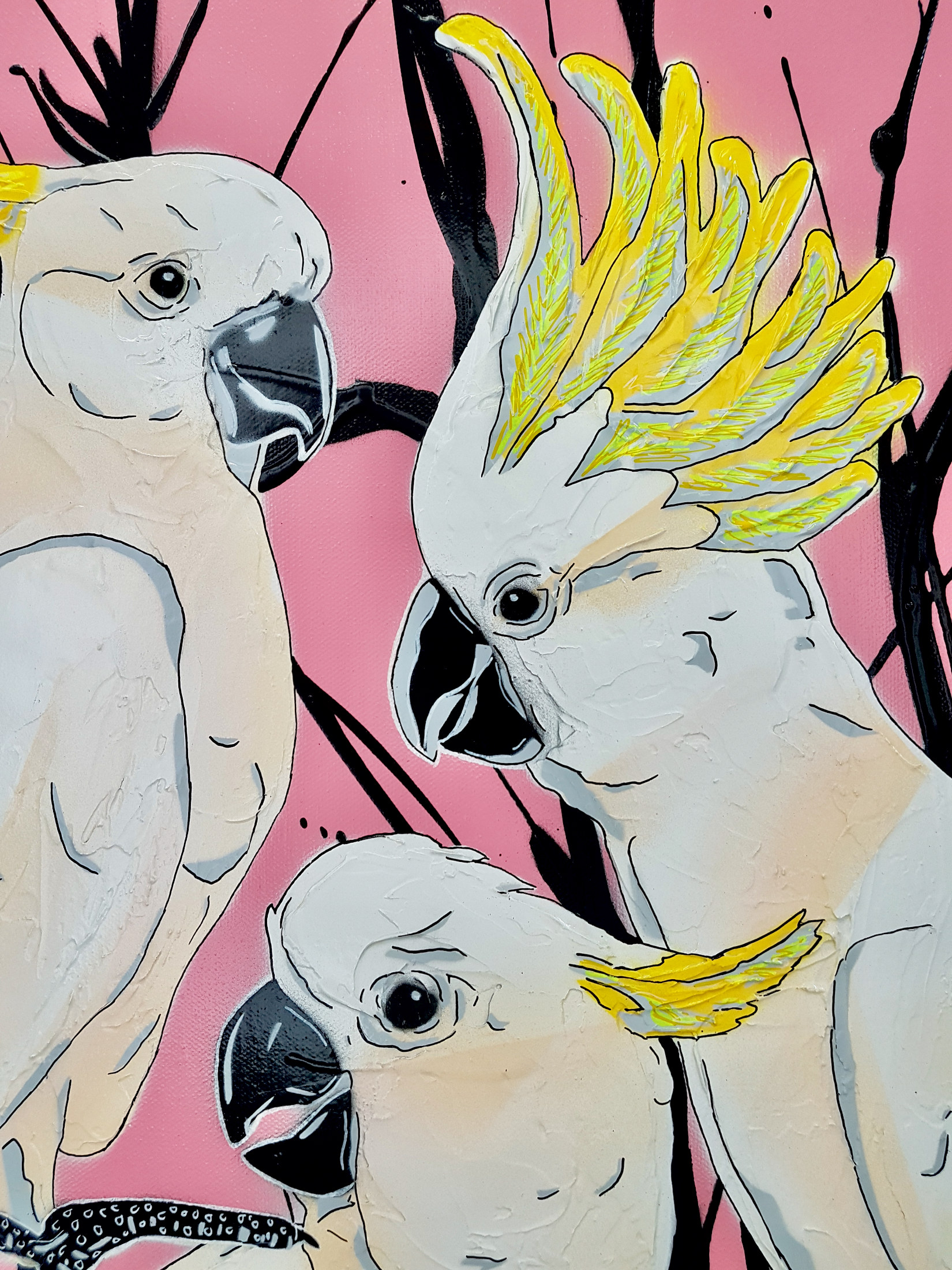 Crackle Of Cockatoos Deborah Lang Urban Pop Art 4