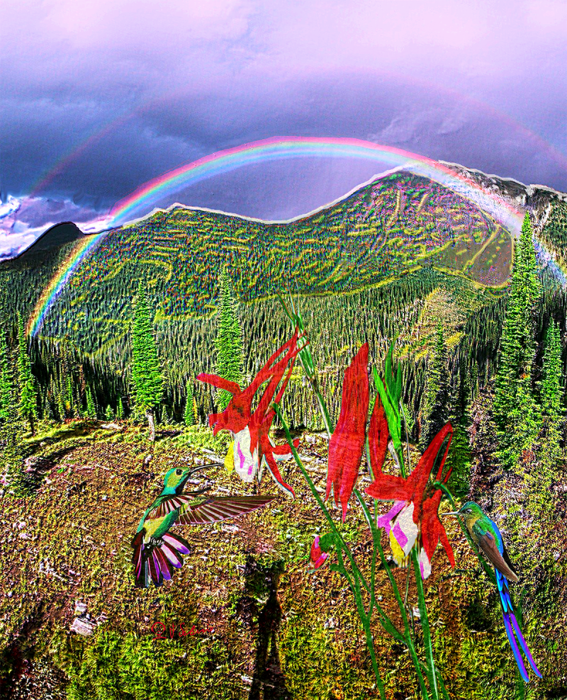 Street Urban Art  collection number 239