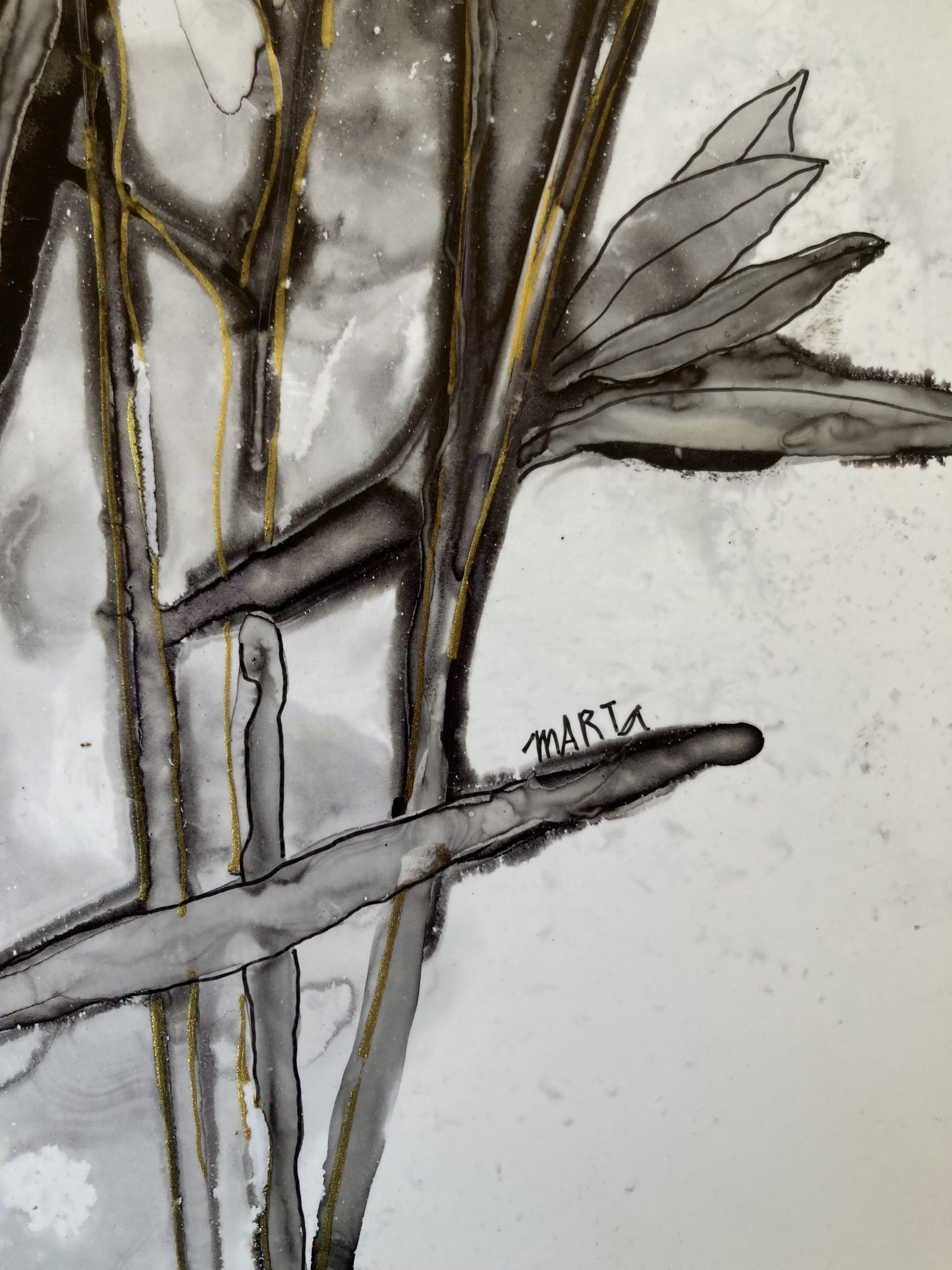 363 Black And White Signature