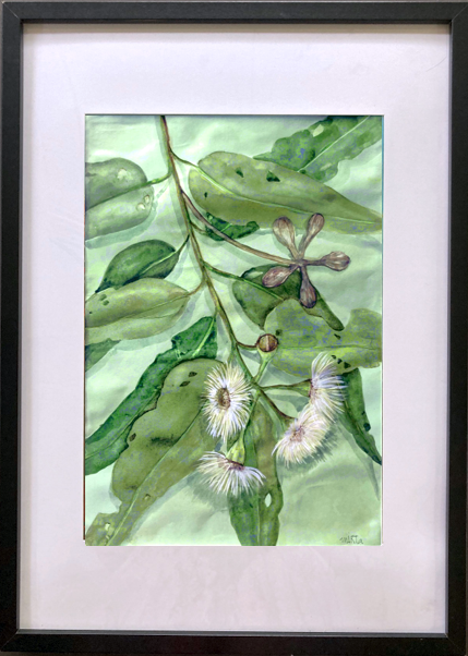 I Love White Gum Flowers