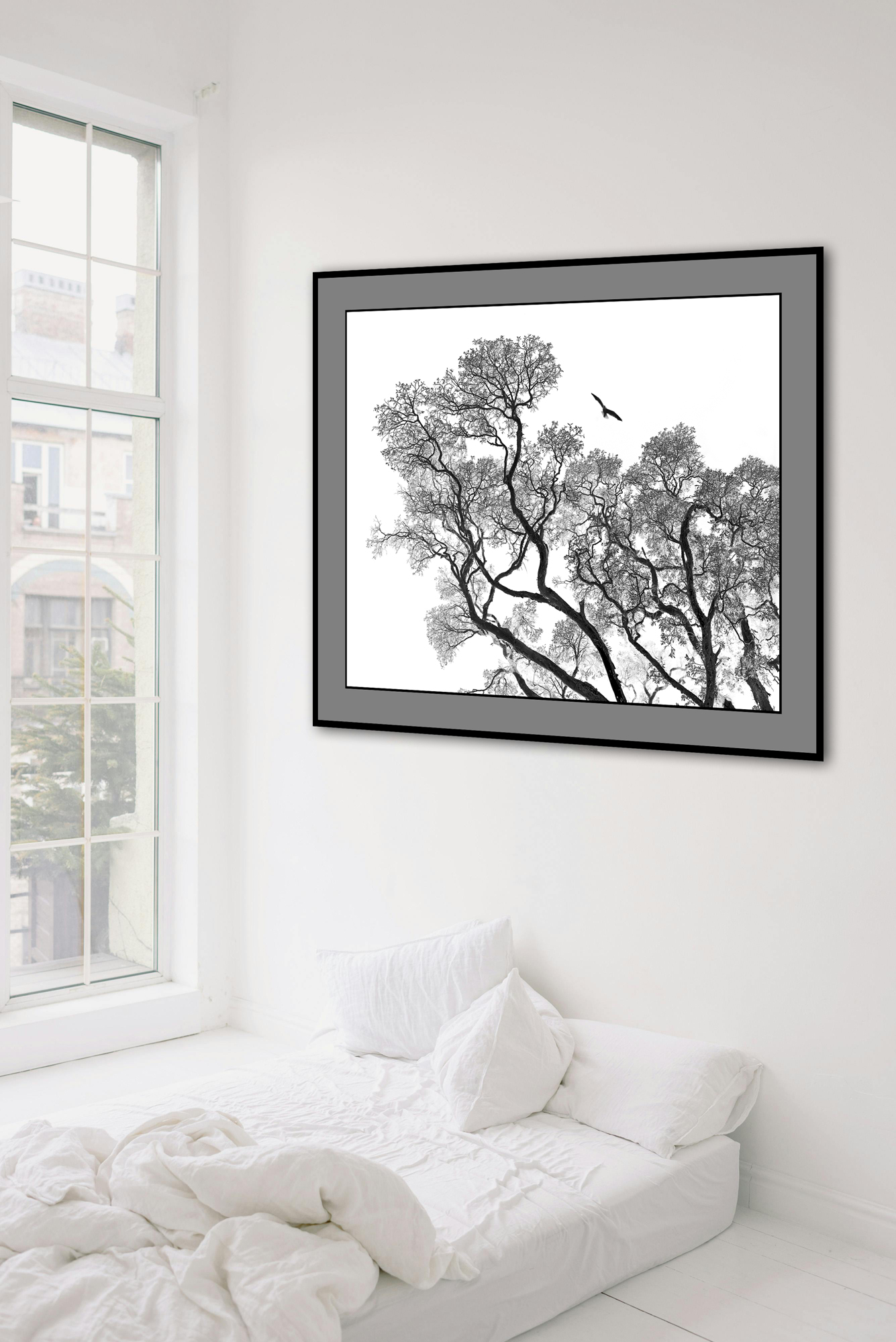 Taking Flight In Situ 3