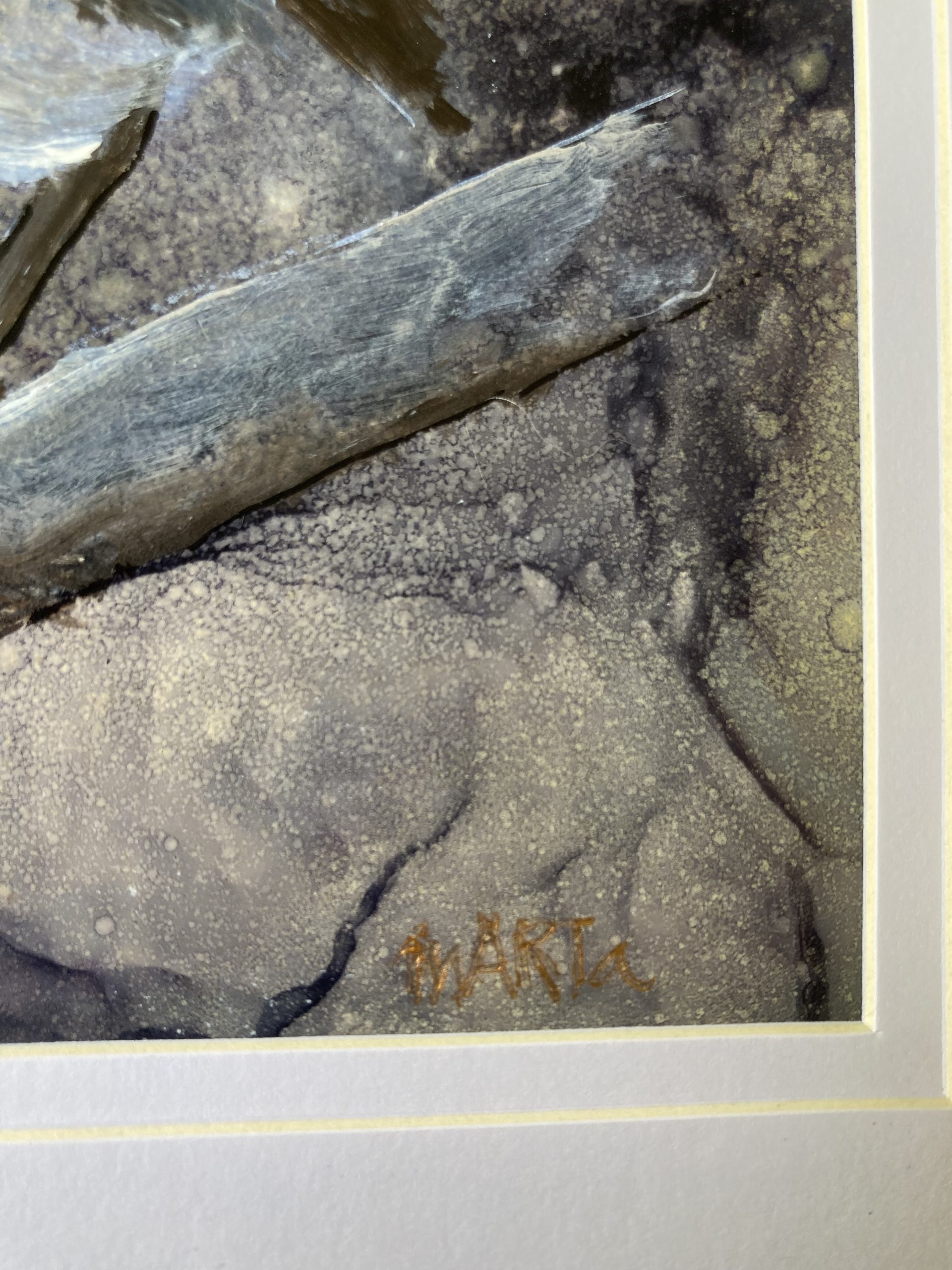 365 Female Fairy Wren Signature