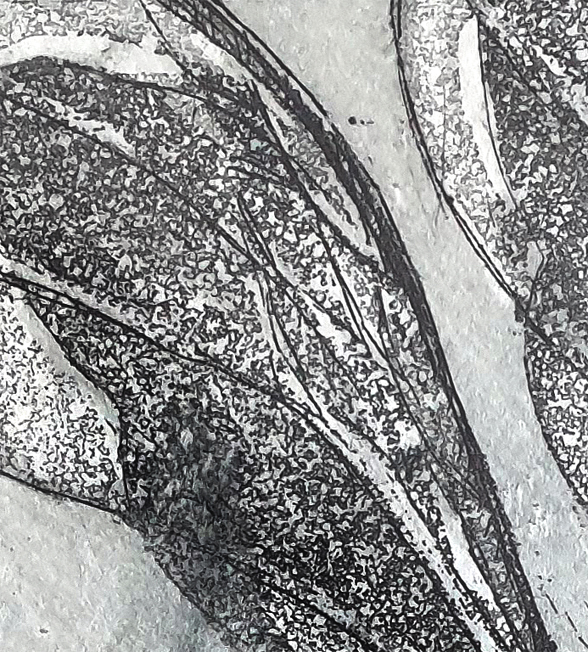 Blue Bended Bee Det2