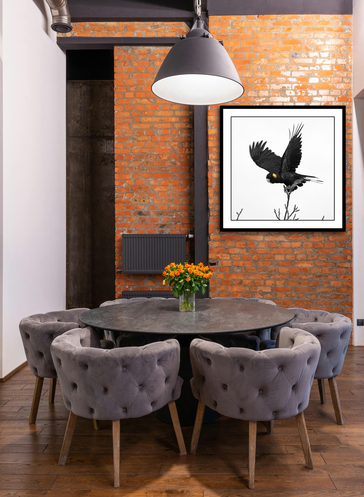 Black Cockatoo In Situ 2