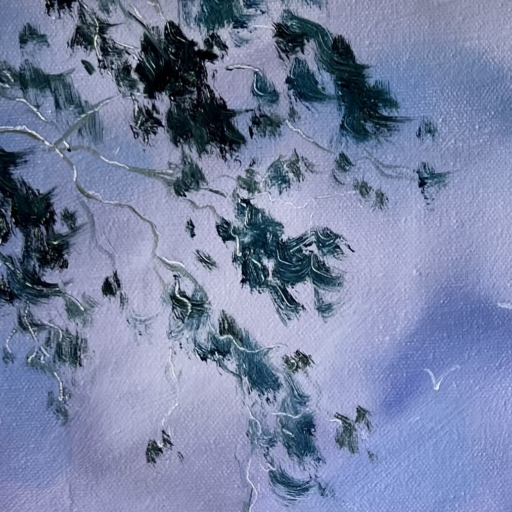 Close Up Illumination Twilight Trees