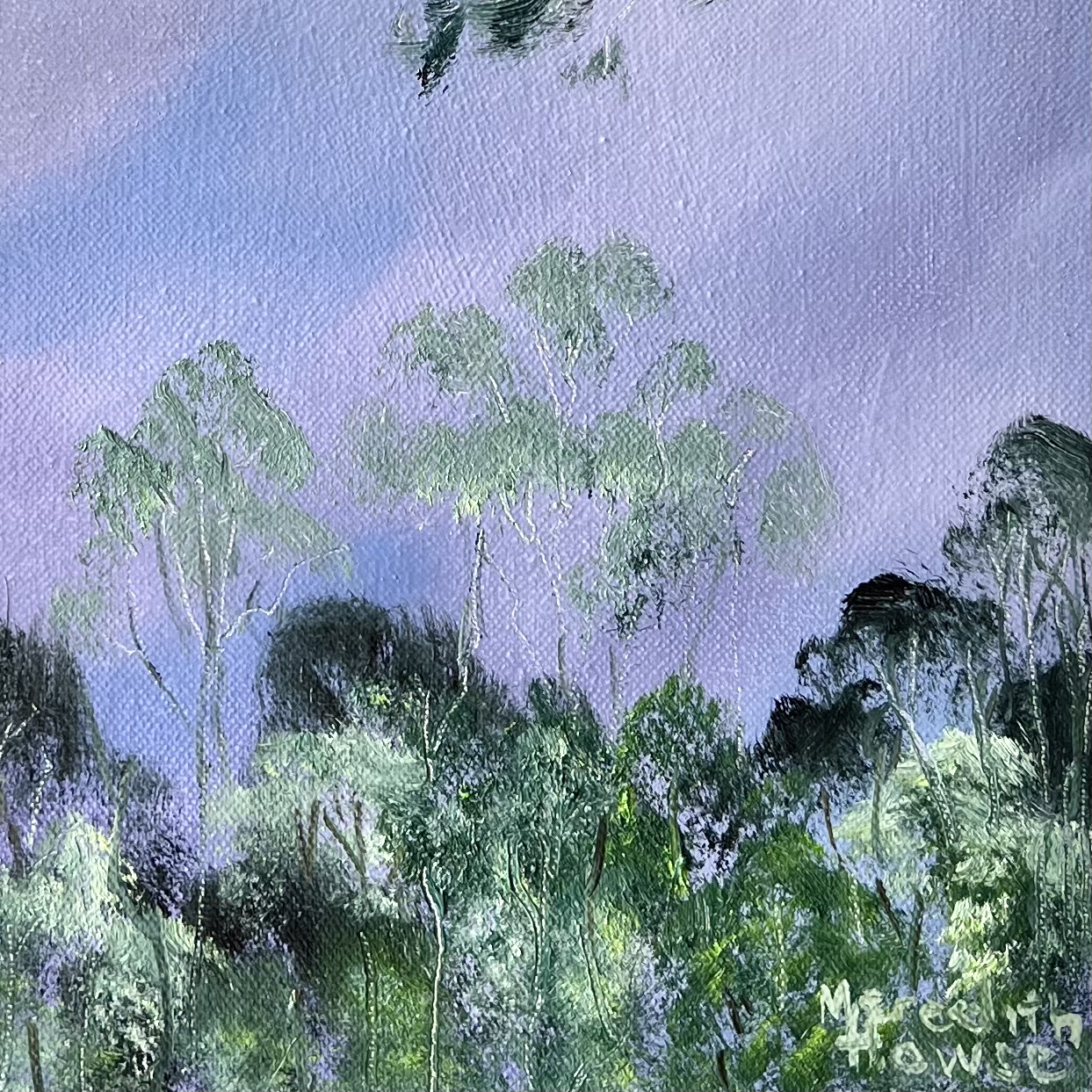 Close Up Twilights Edge