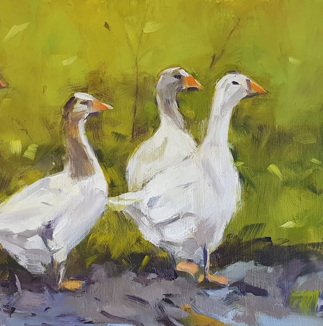 24 That Muddy Gang Detail