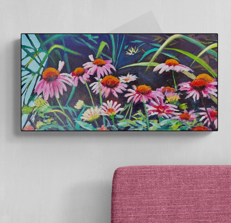 Pink Echinacea Supreme