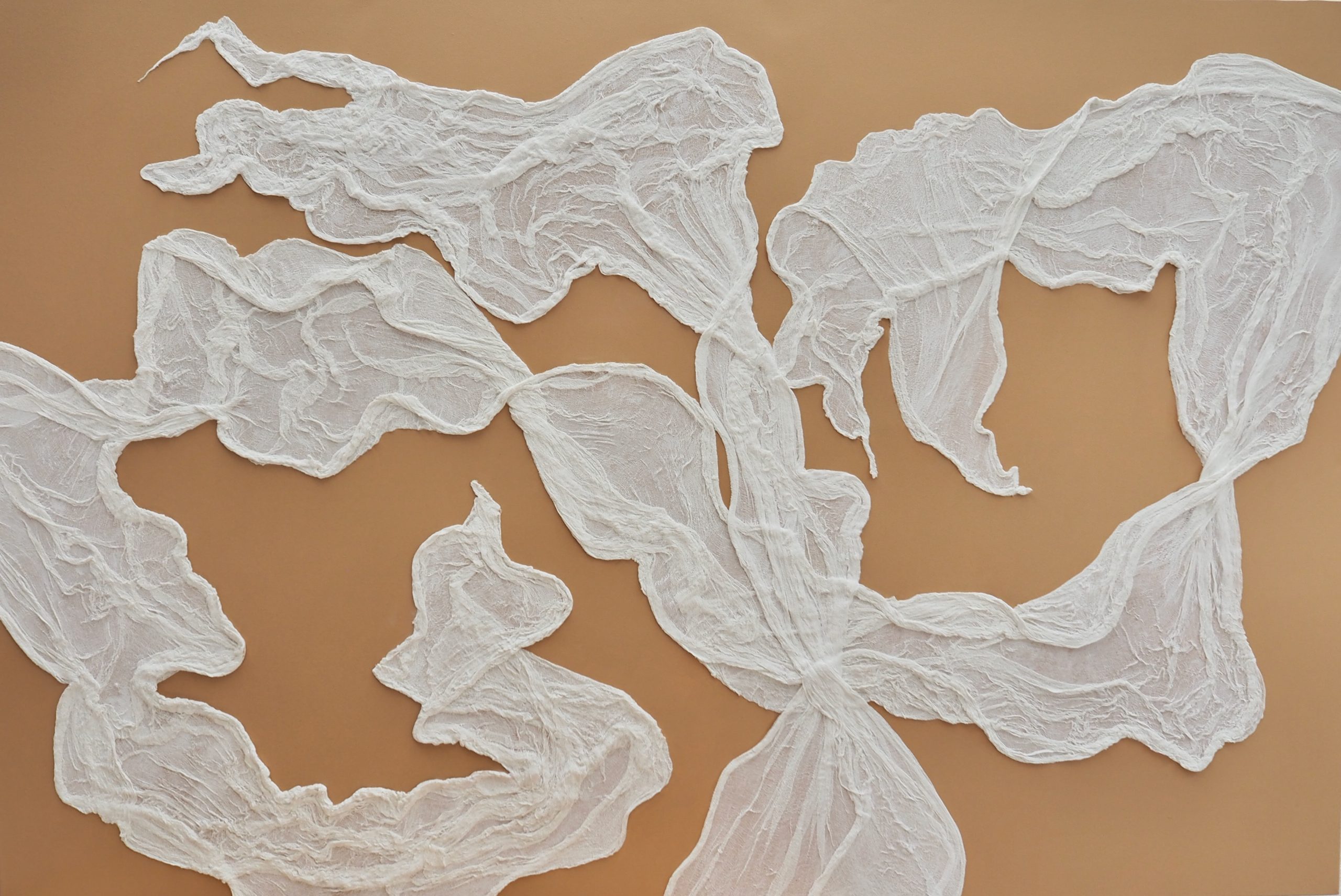 Cosmic Synergy Vol 1