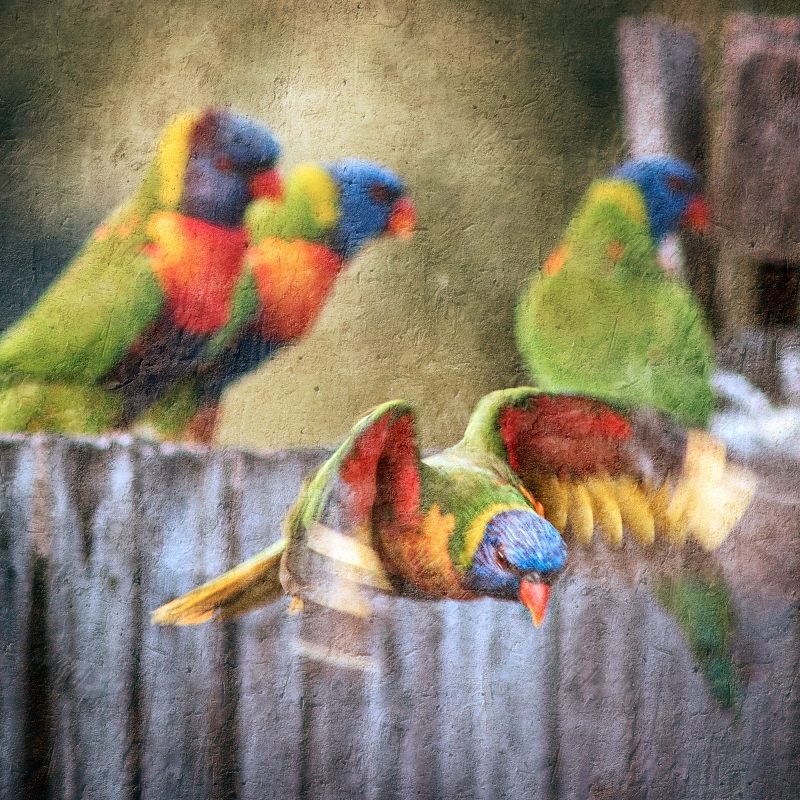 Leaving the Party – Ltd Ed Photography