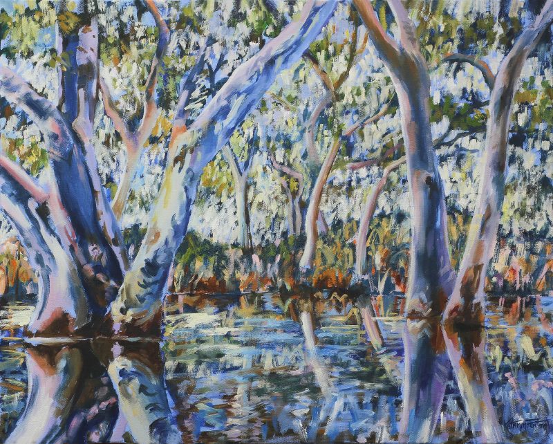 Red River Gums 2 Walgett