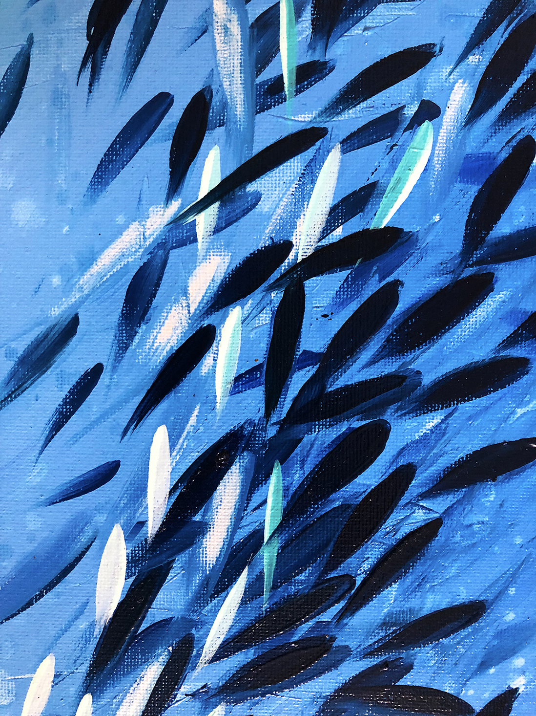 Fish School Mini 13 Close Lr