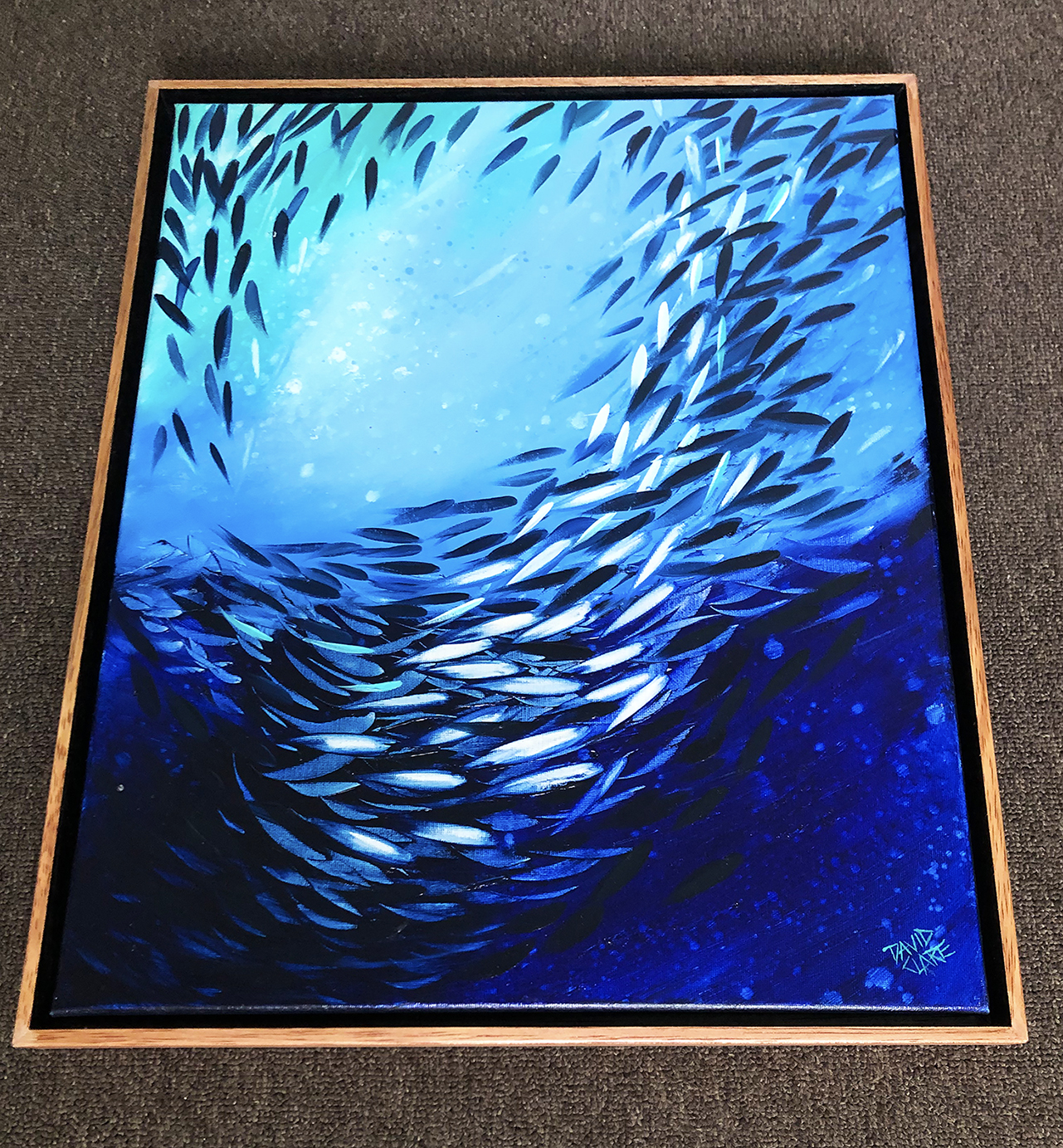 Fish School Mini 13 Bottom Lr