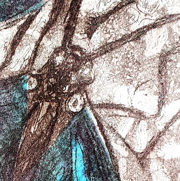 Brisbane River Buterfly Det1