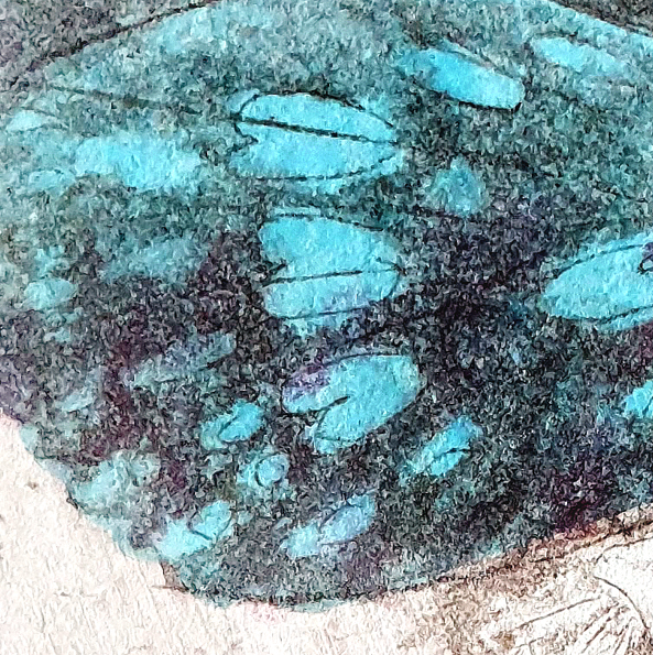 Brisbane River Buterfly Det2