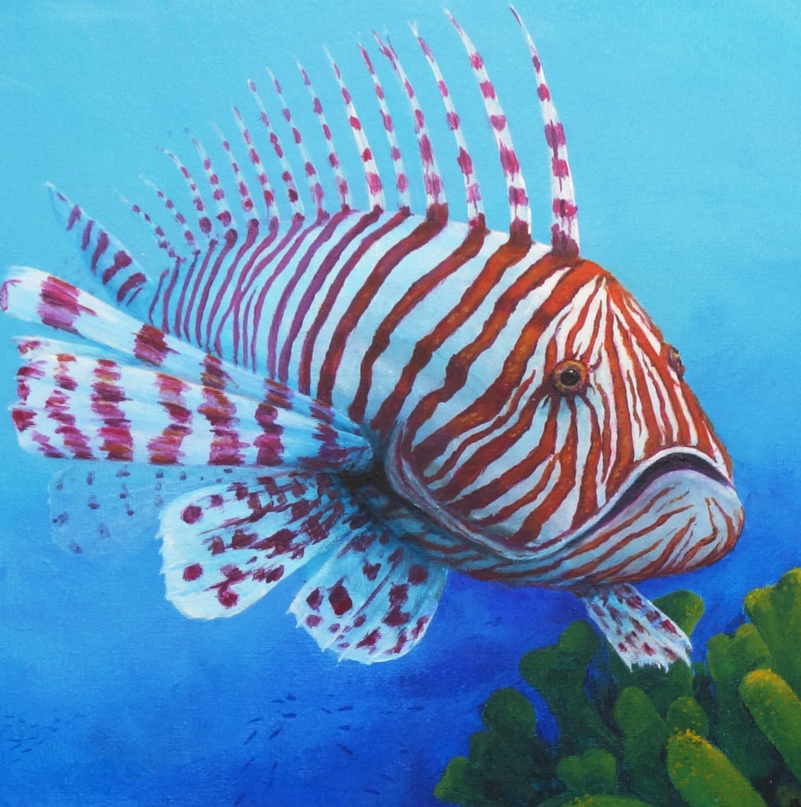 Lionfishcu 1500px