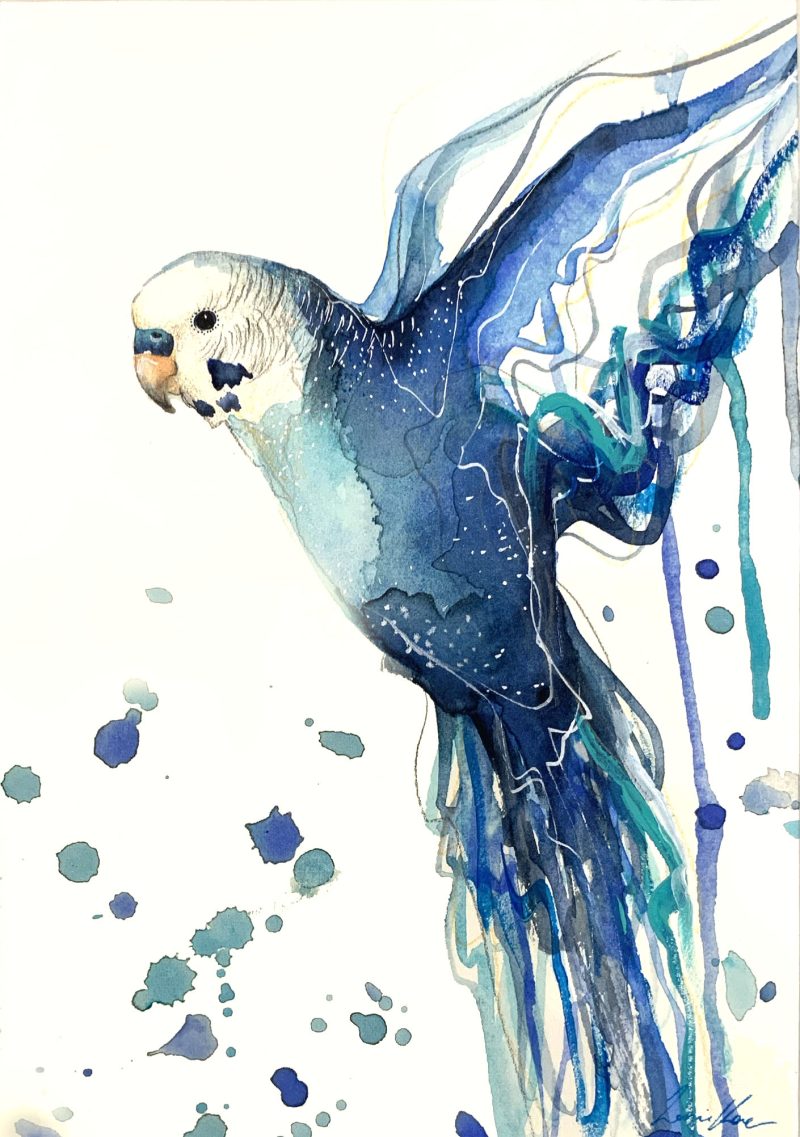 Blue Budgie Spirit