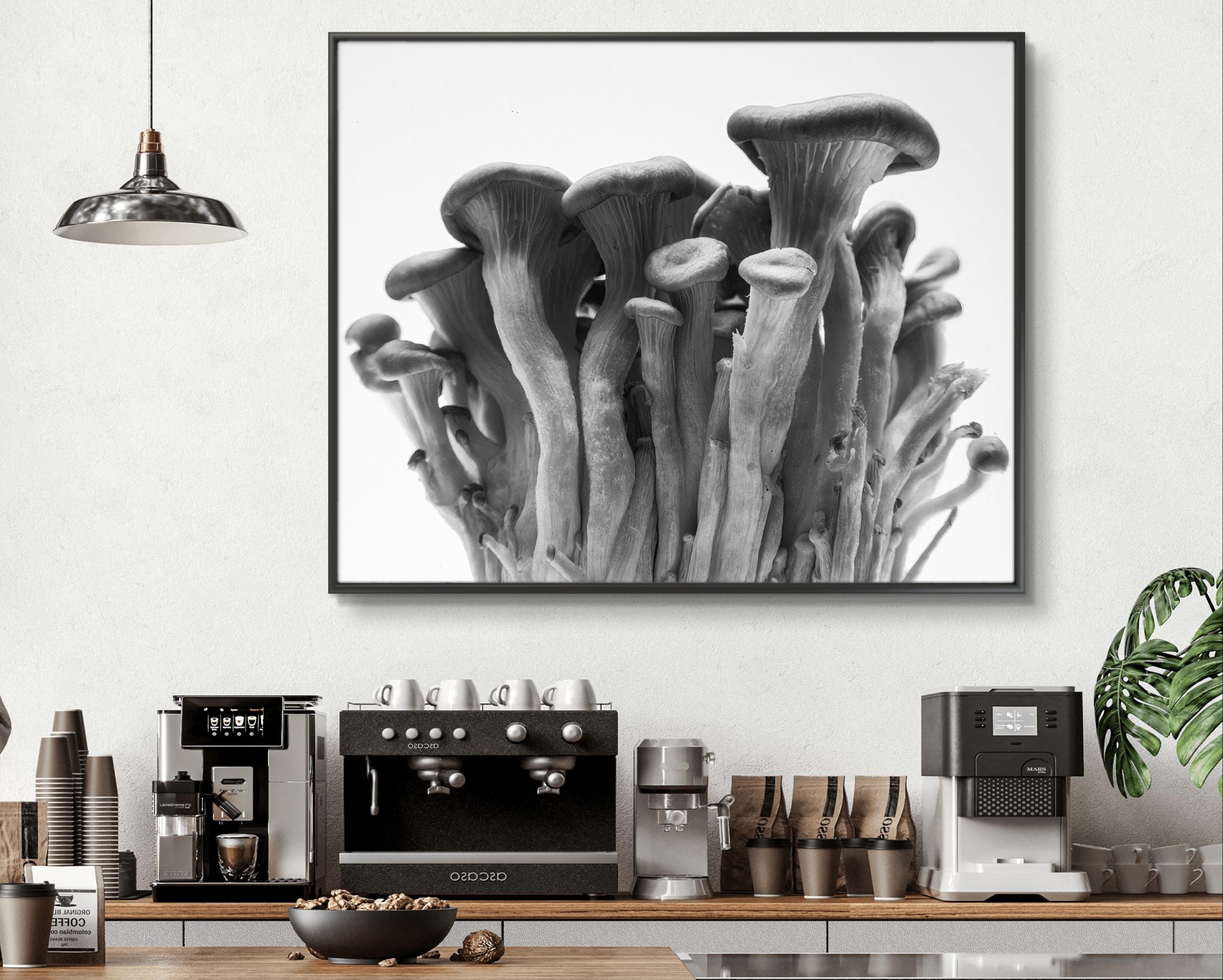 559709d0 0c55 11ef B765 3968b670a0ec