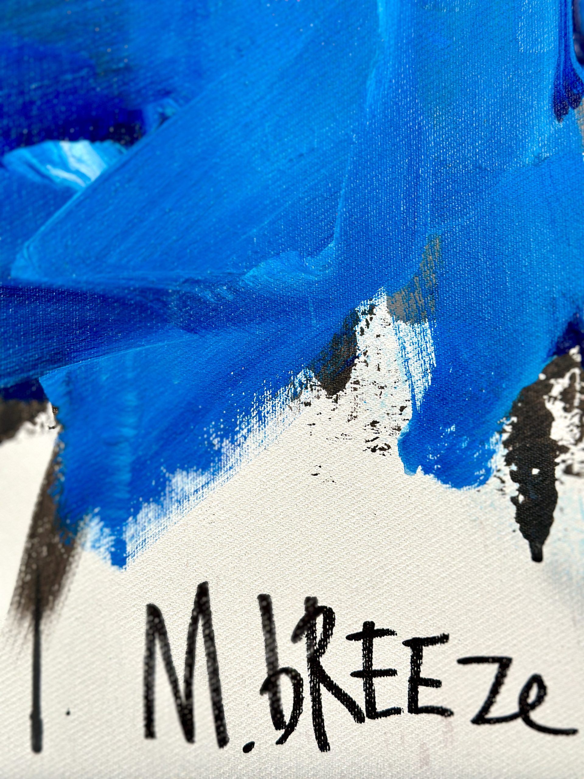 Martin Breeze Pirate Songs Signed