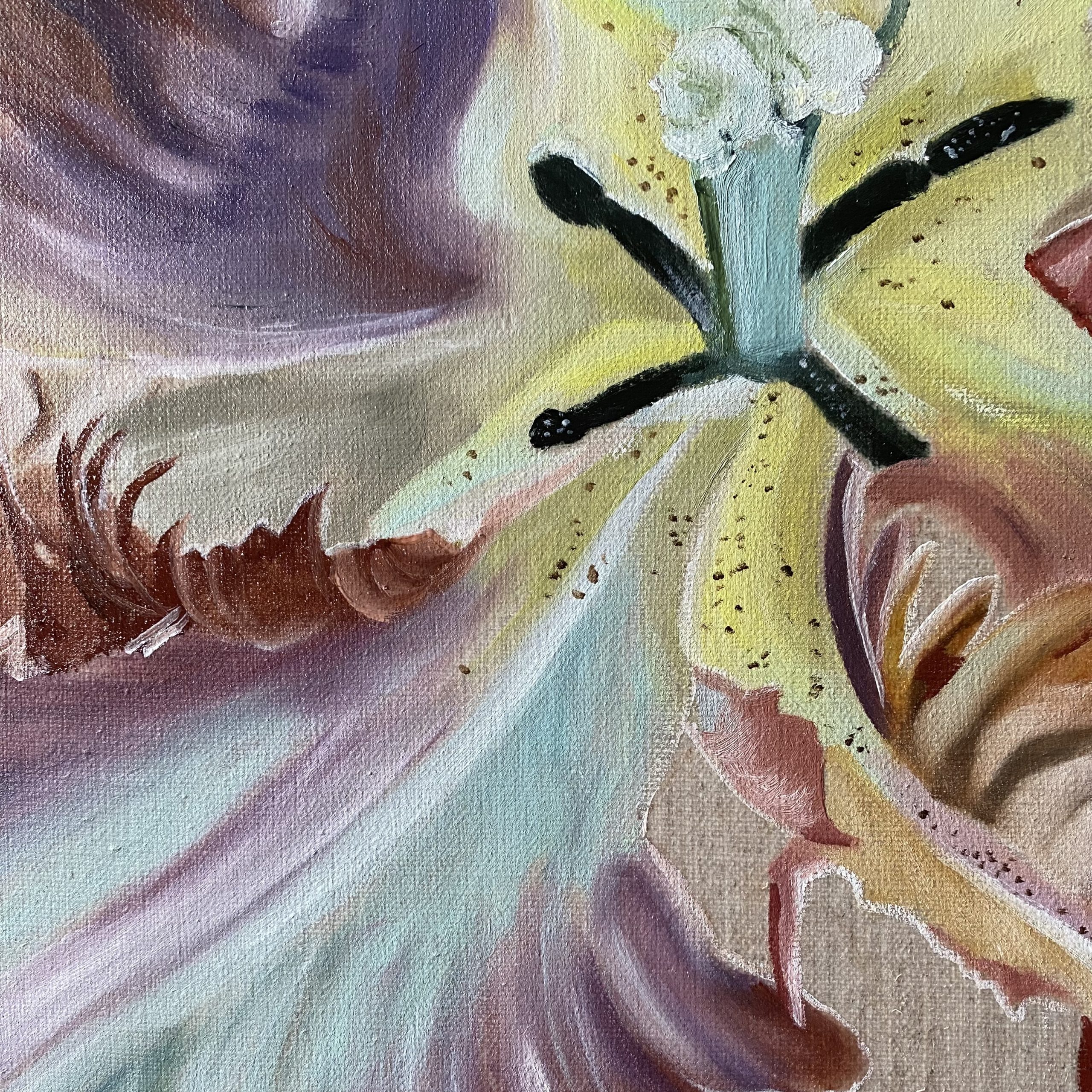 The Unfurled Tulip Ii Closeup Wendy Peters