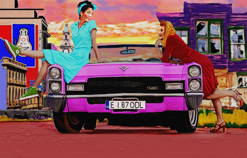 Street Urban Art  collection number 263