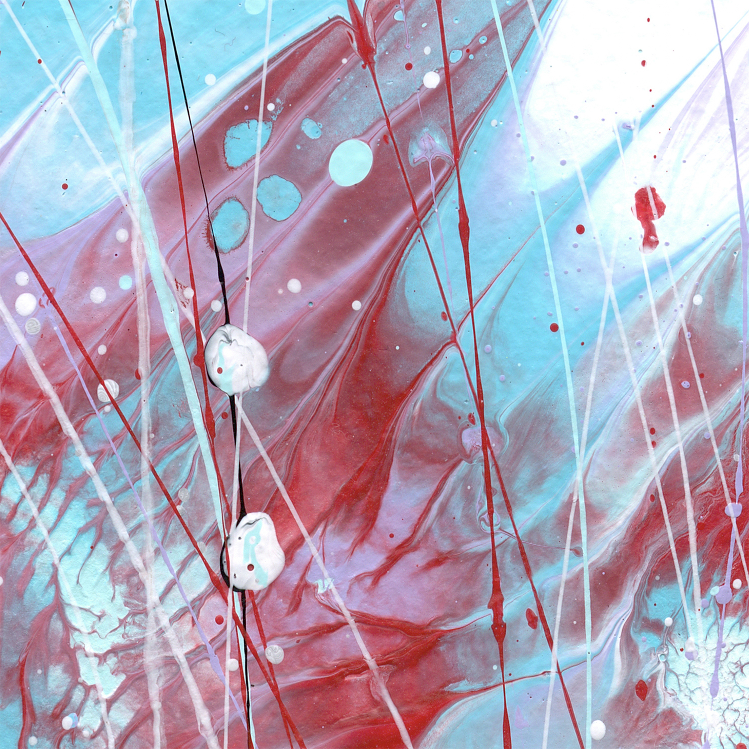 Butterfly 5 Original Abstract By Bridget Bradley Close Up Snaps