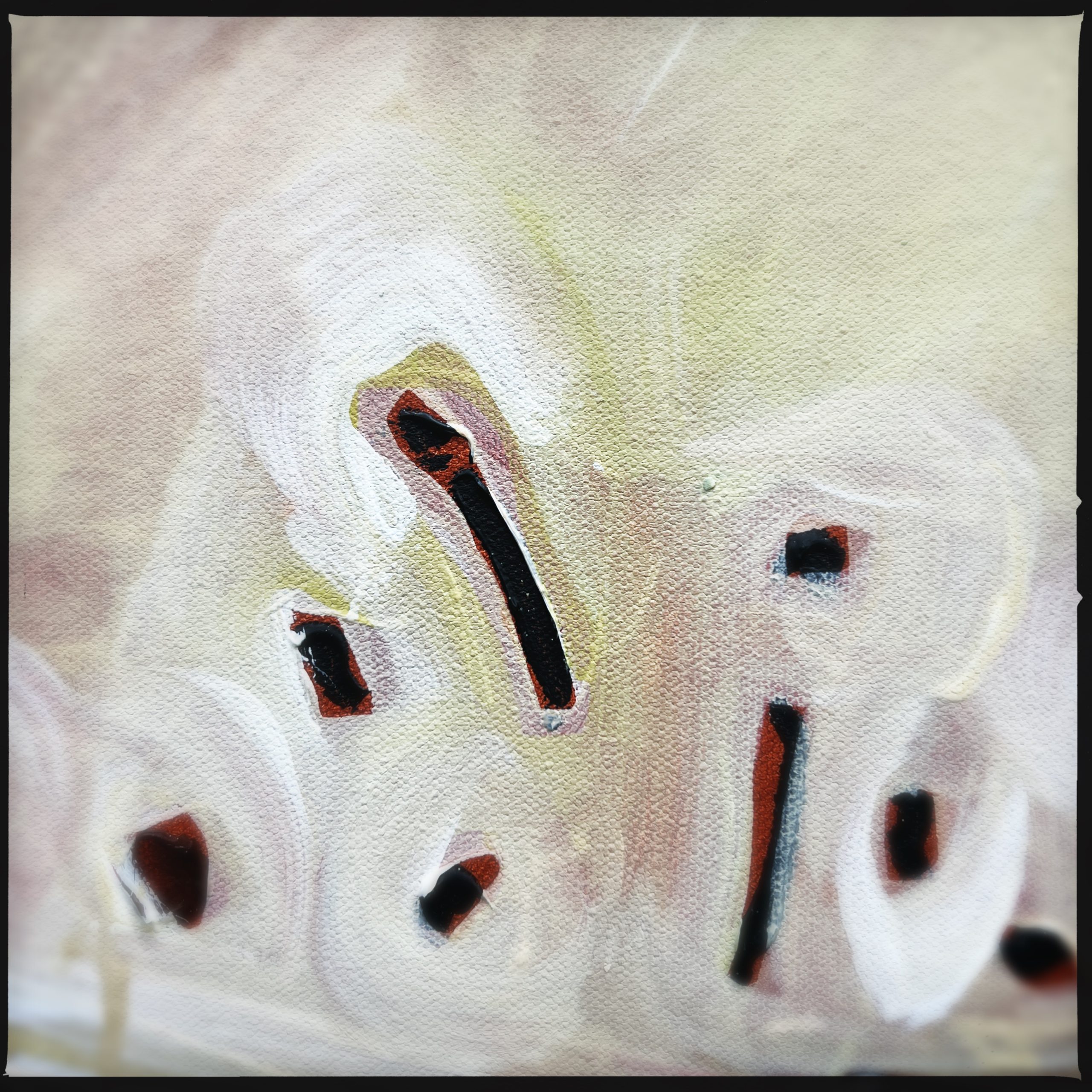 Hipstamaticphoto 720769287.876780