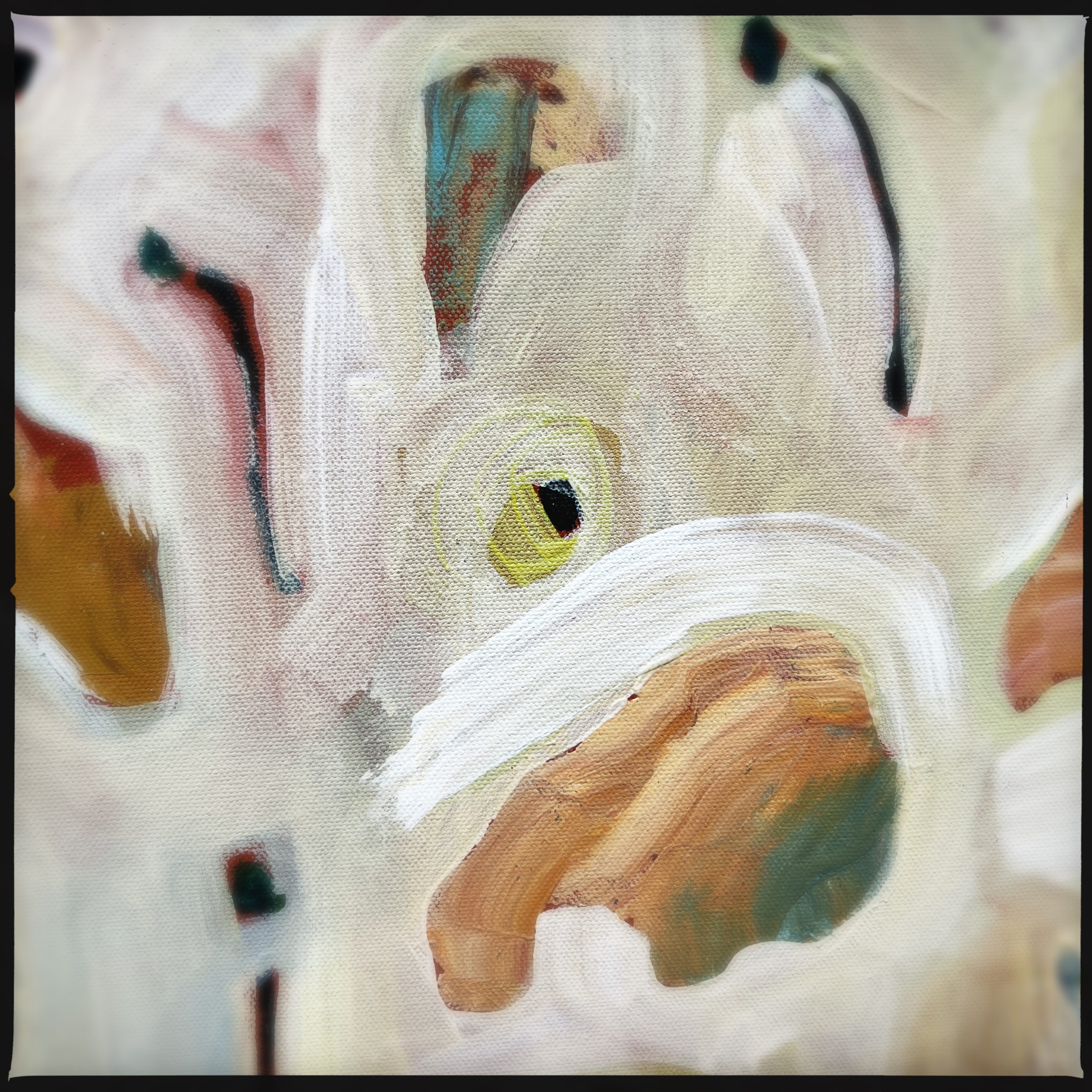 Hipstamaticphoto 721706103.526756