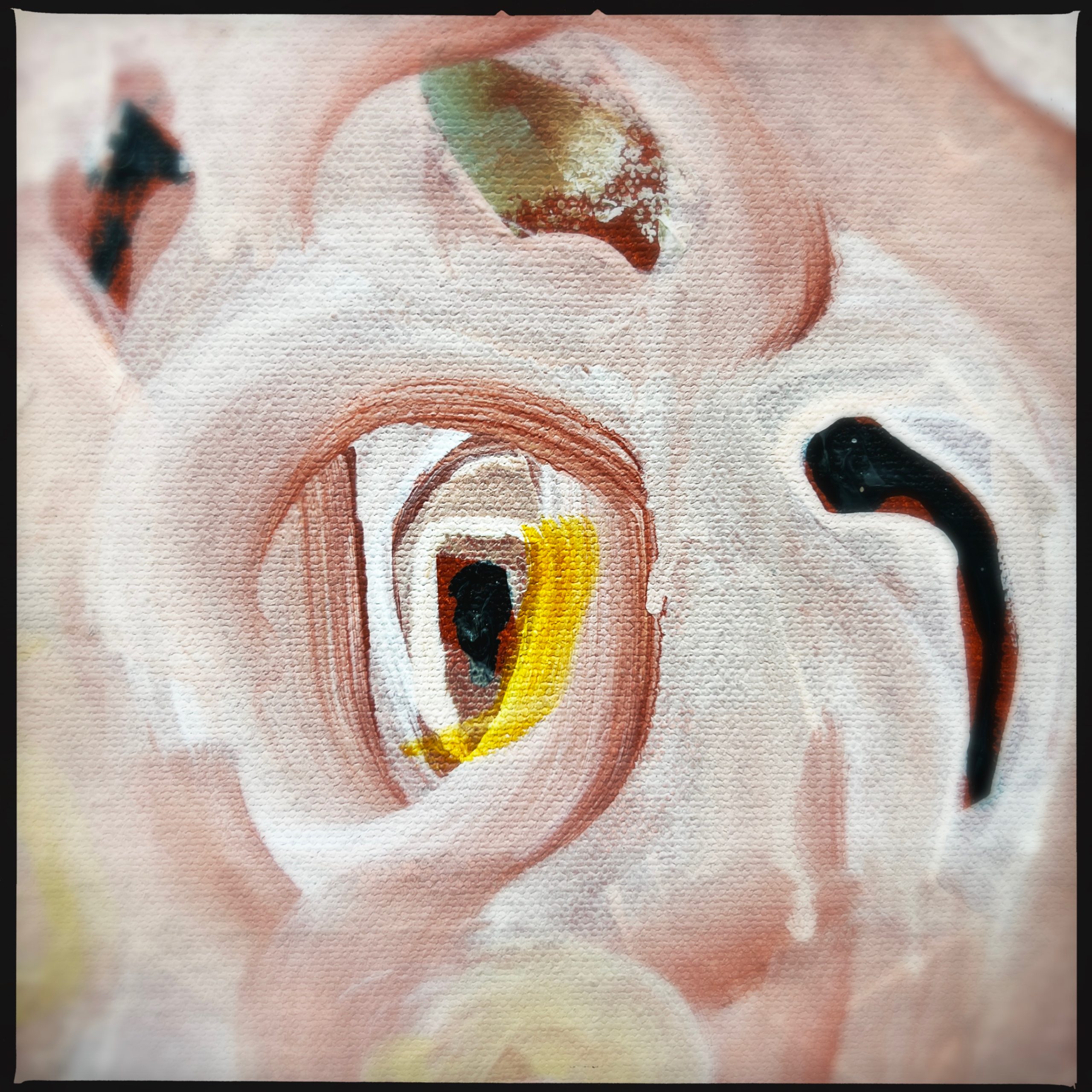 Hipstamaticphoto 721882408.066995