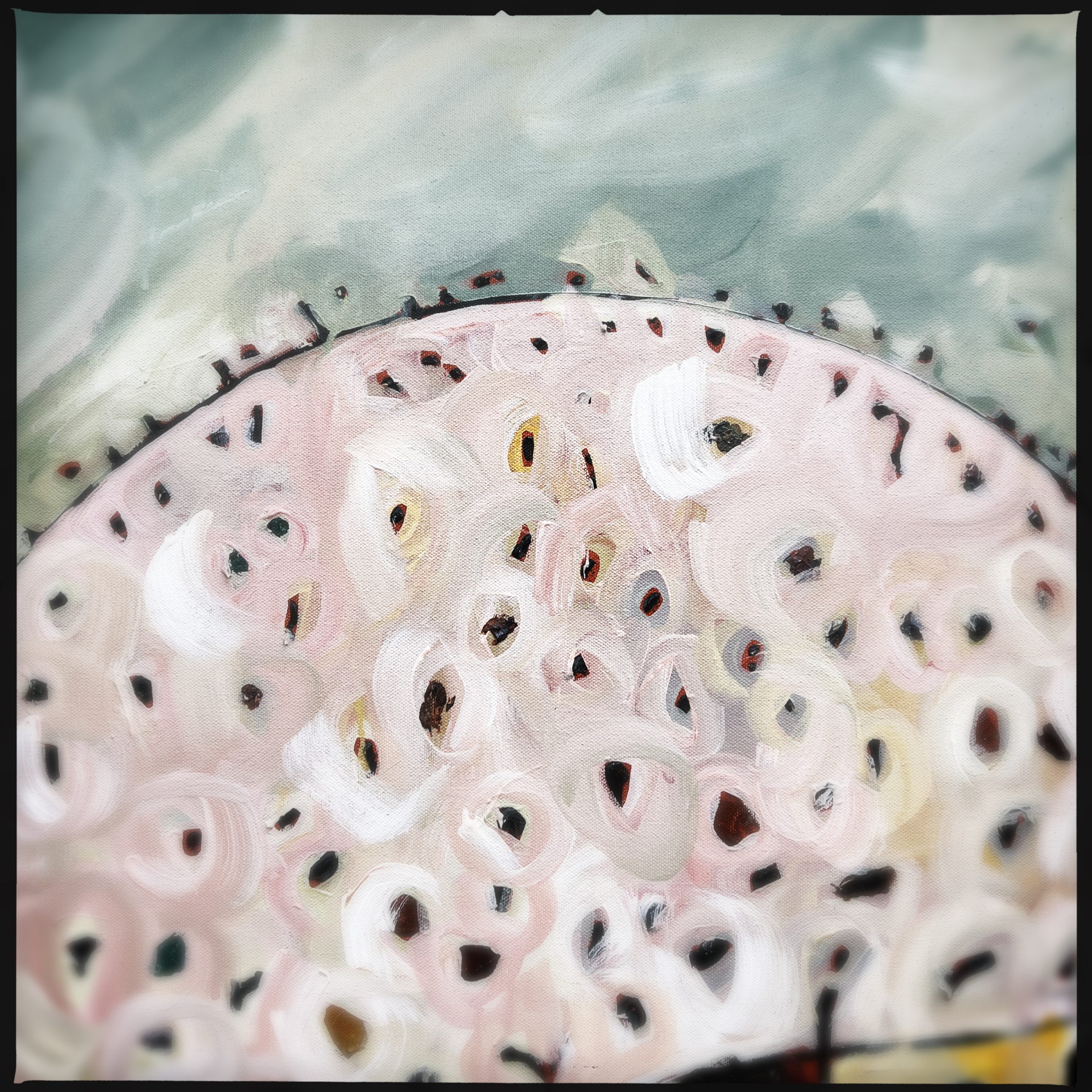 Hipstamaticphoto 734916552.133142