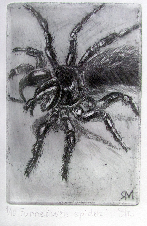 Funnel web spider- Ltd Ed Print