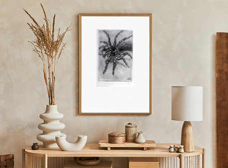 Funnel Web Spider Insitu