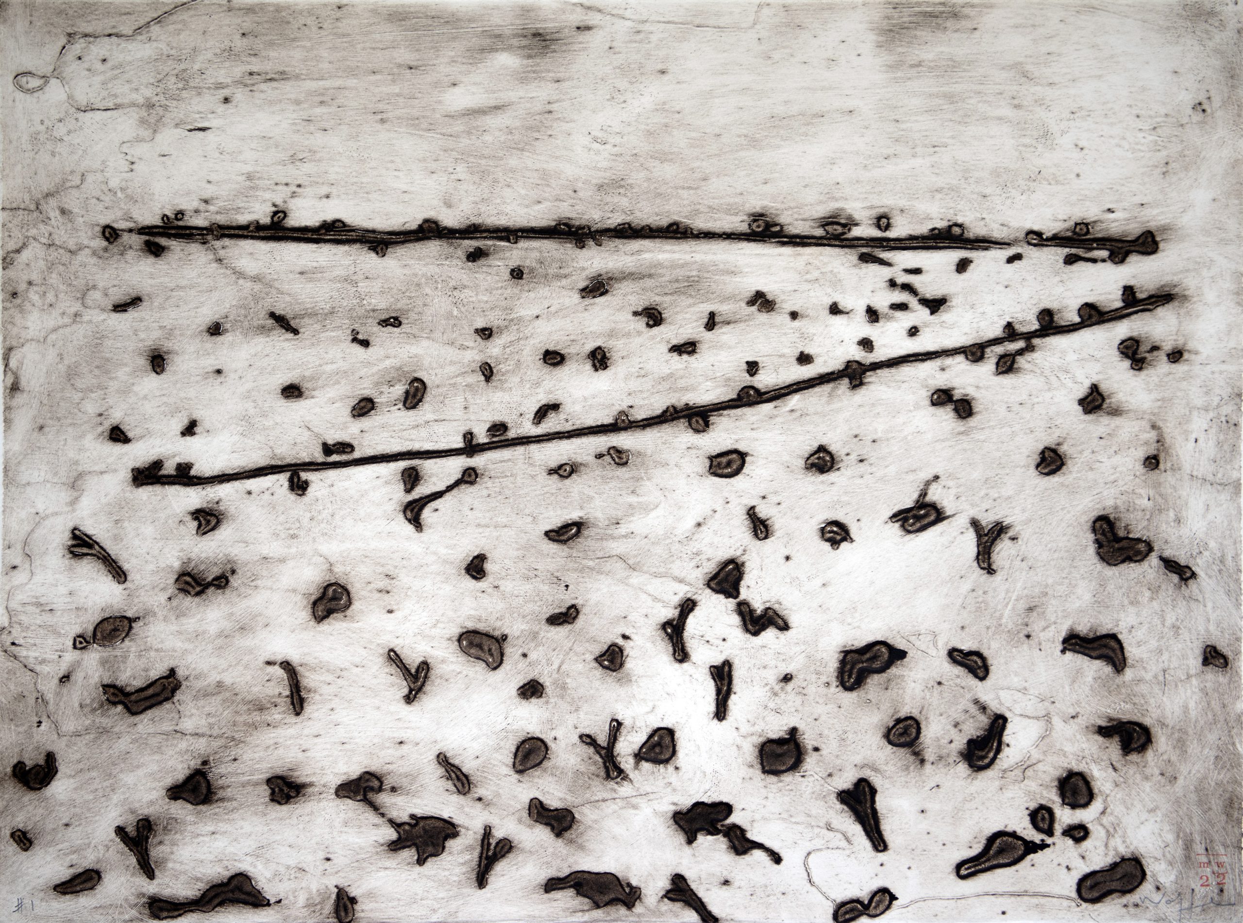 Leanganook Ghost Gums 56x76