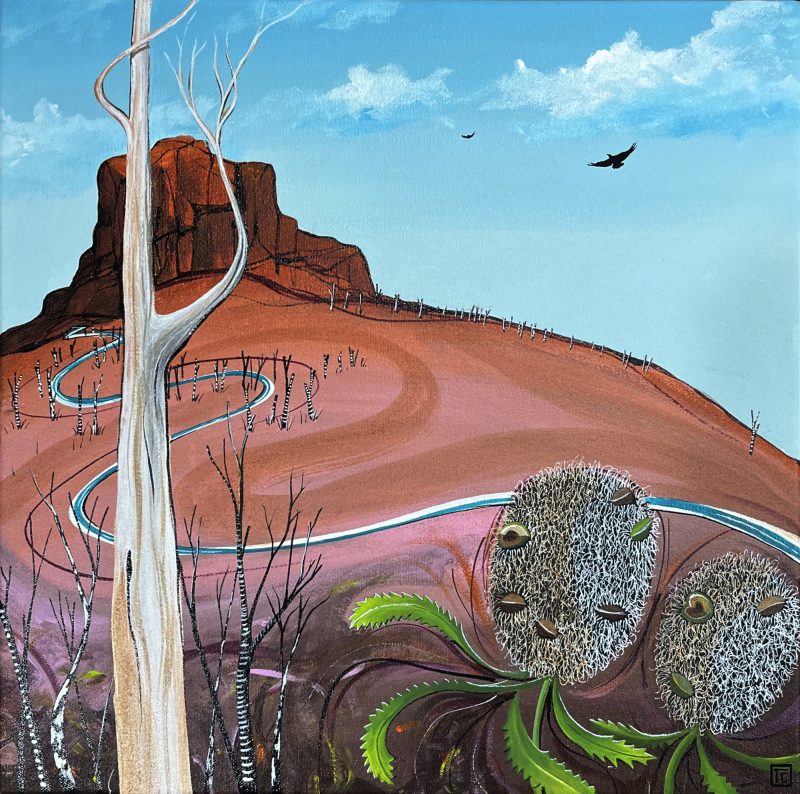 Where The Banksias Play