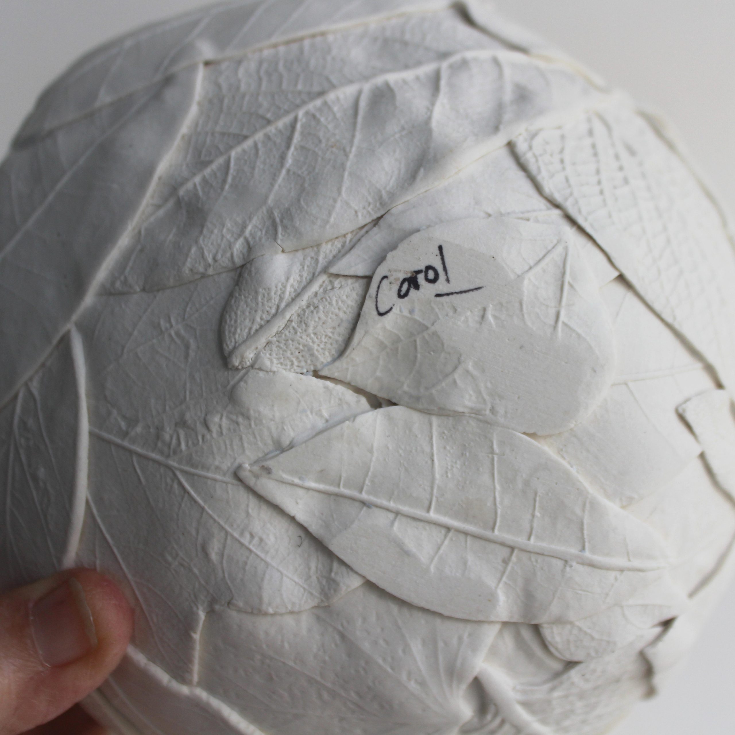 Forest Quartet 6 Carol Forster Art Lovers Australia