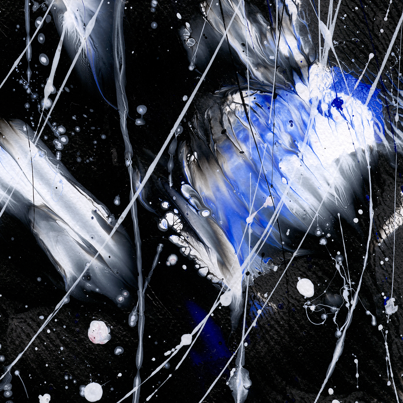 Butterfly 8 Butterfly Series Original Abstract Closeup By Bridge