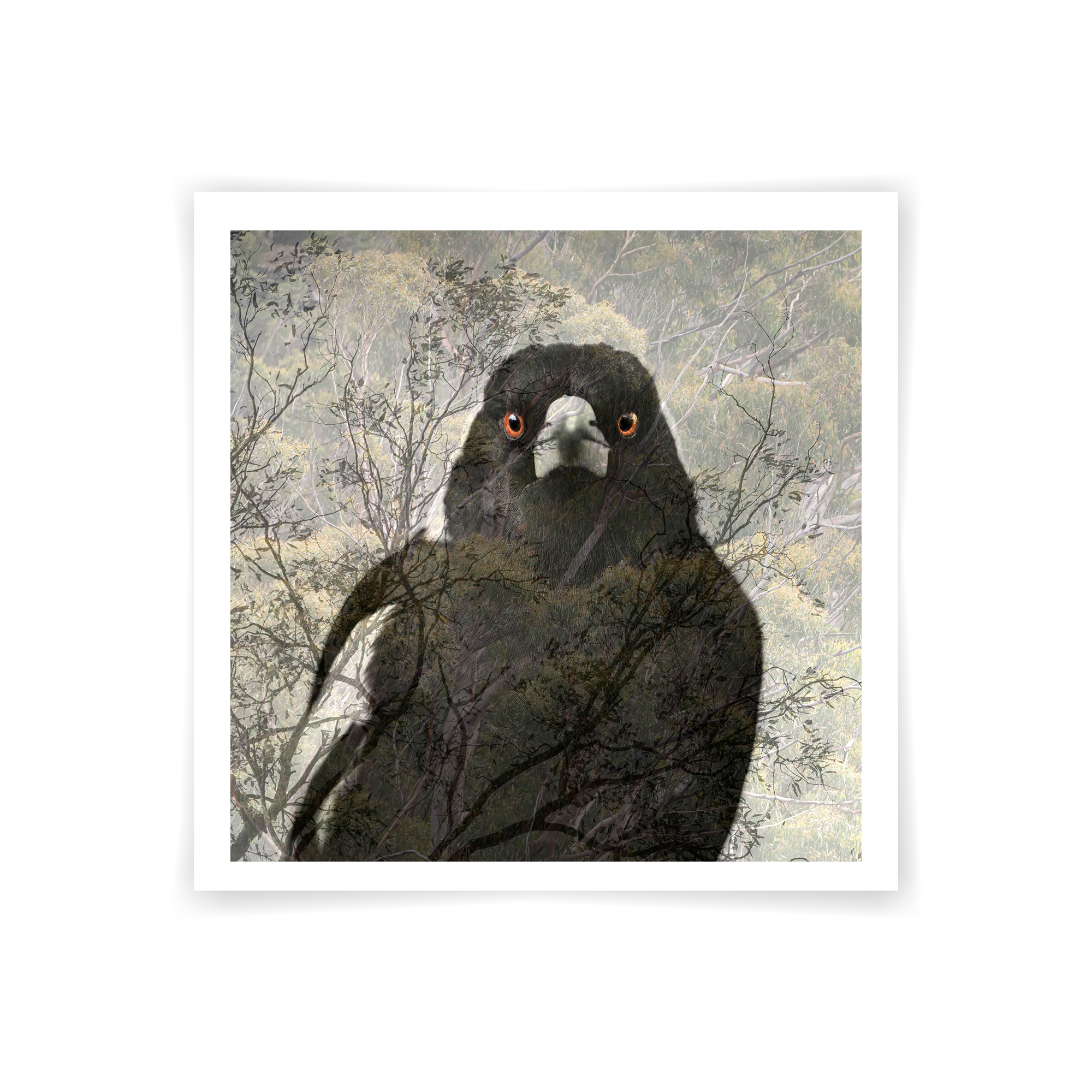 White,sticky,note,isolated,on,white,background.,post,it,notes.