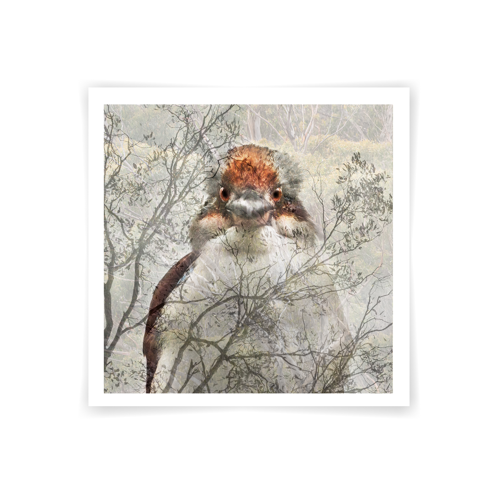 White,sticky,note,isolated,on,white,background.,post,it,notes.