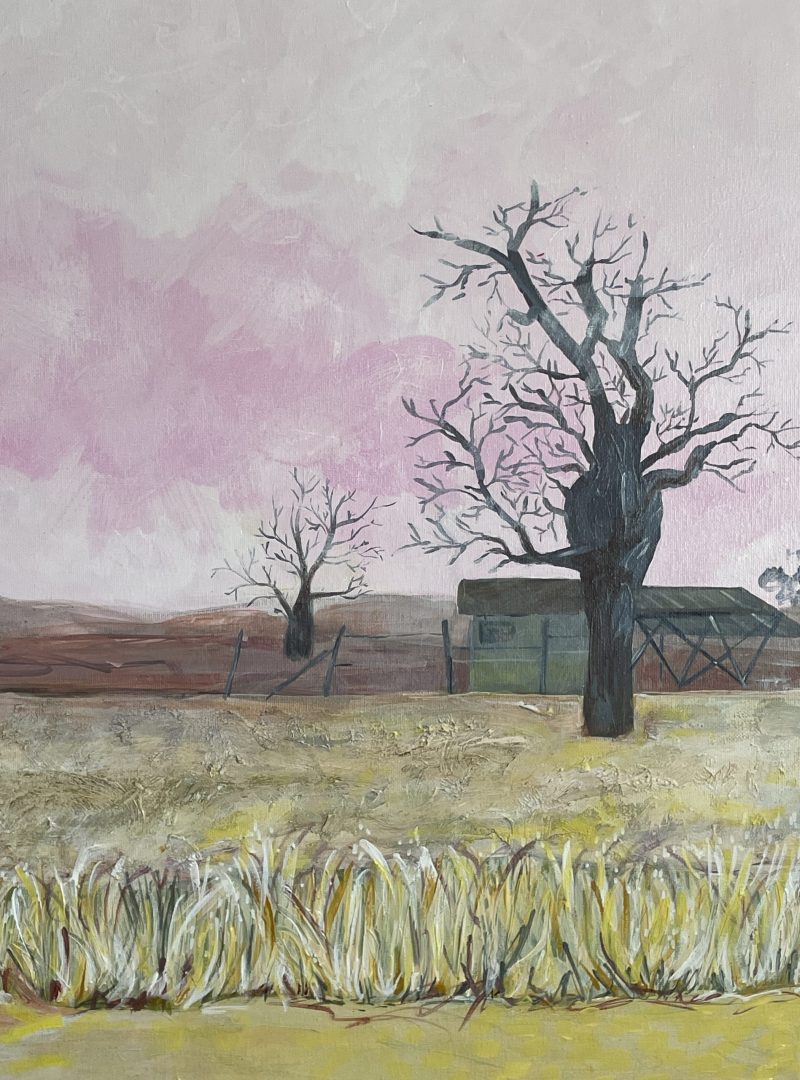 Baobab Trees in the Kimberley