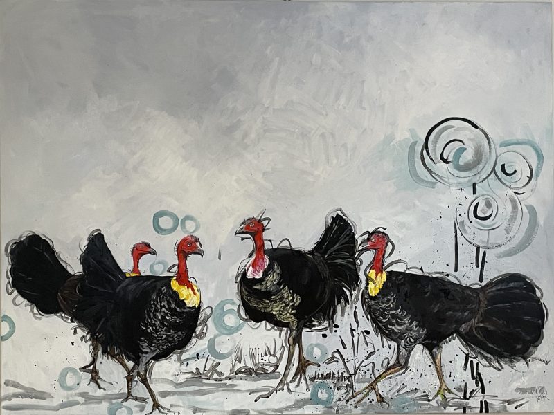 Brush Turkey Crossing